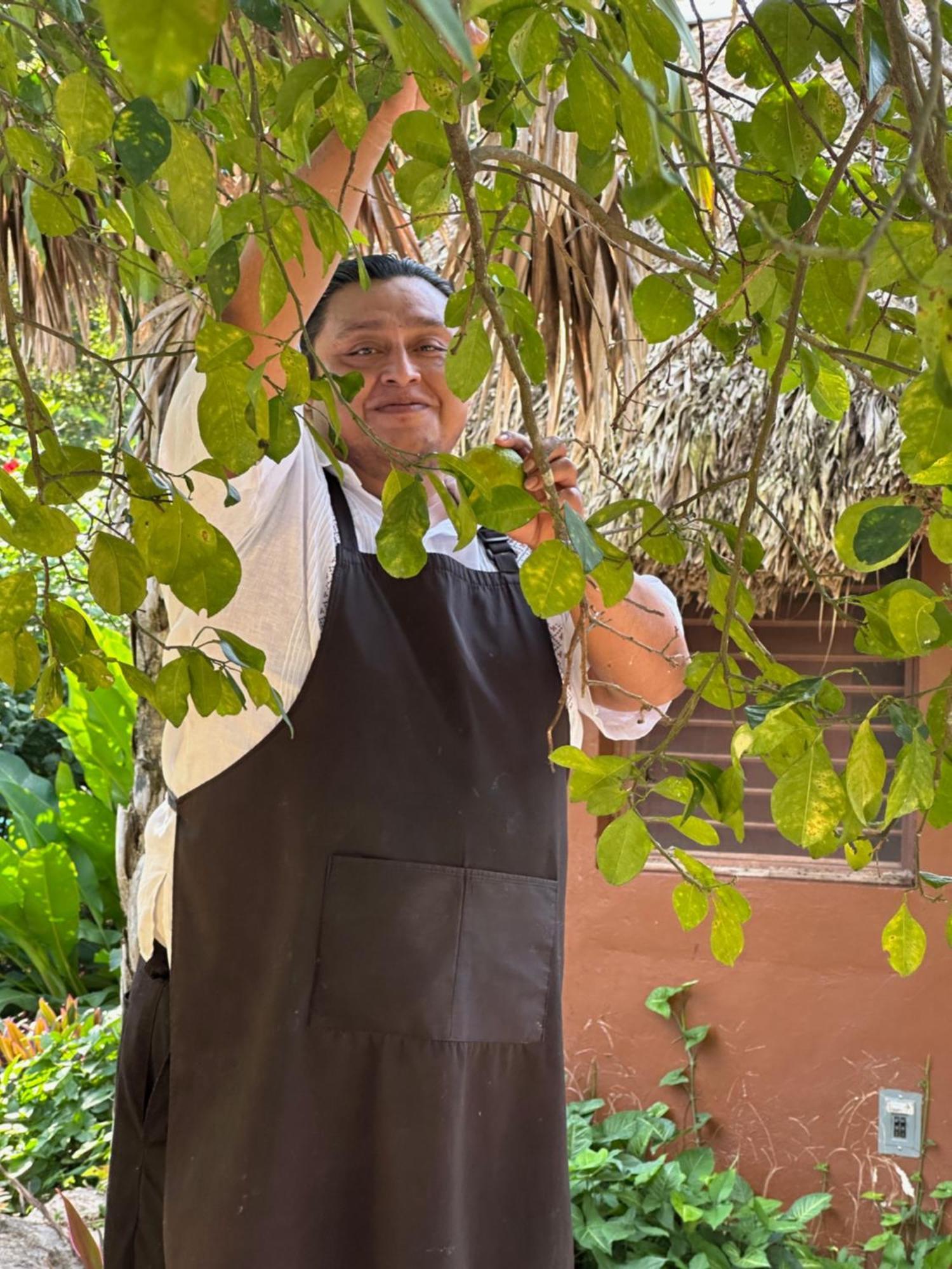 The Pickled Onion B&B And Restaurant Uxmal Santa Elena Exterior photo