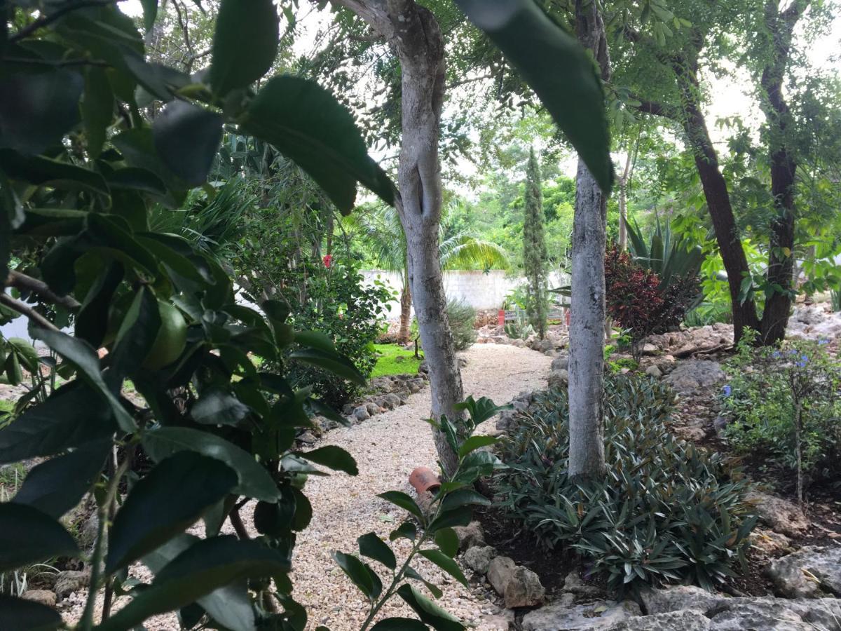 The Pickled Onion B&B And Restaurant Uxmal Santa Elena Exterior photo