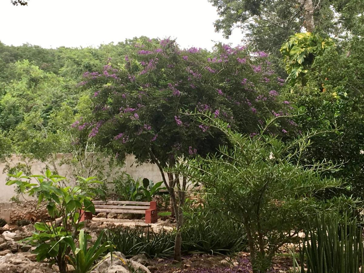 The Pickled Onion B&B And Restaurant Uxmal Santa Elena Exterior photo